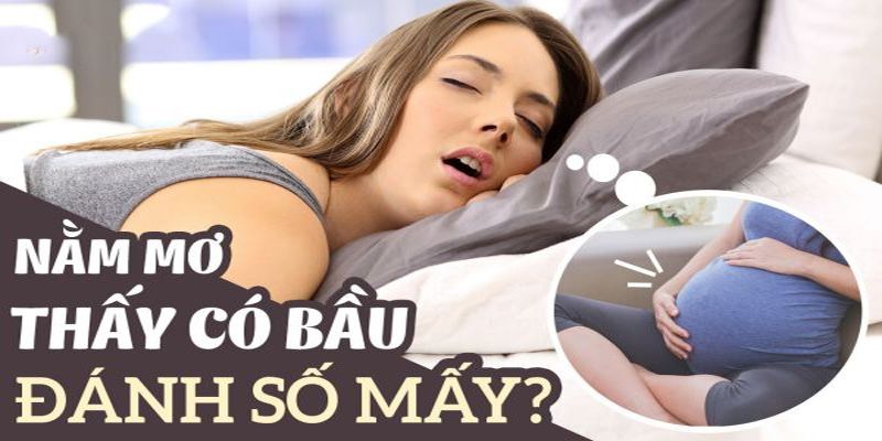 Nằm mơ thấy có bầu đánh số mấy?